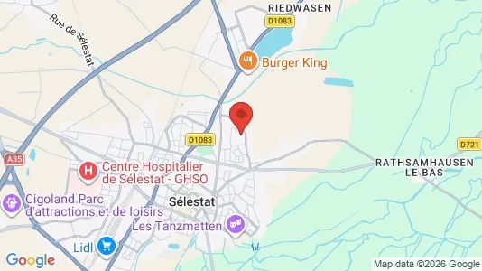 Commercial properties for rent i Sélestat-Erstein - kort over placeringen