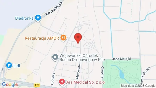 Gewerbeflächen zur Miete i Pilski - kort over placeringen