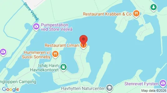 Commercial properties for rent i Ishøj - kort over placeringen