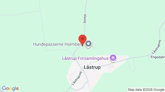 Commercial properties for rent i Skals - kort over placeringen