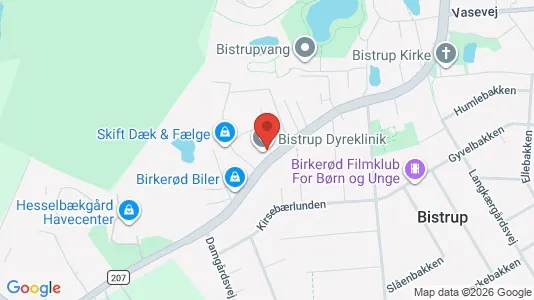 Commercial properties for rent i Birkerød - kort over placeringen