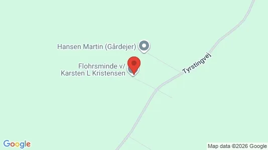 Gewerbeflächen zur Miete i Brædstrup – Foto von Google Street View
