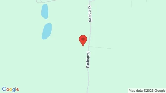 Gewerbeflächen zur Miete i Ringsted – Foto von Google Street View