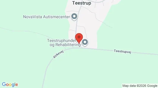 Liikekiinteistöt Myynnissä i Haslev - Kuva Google Street Viewstä