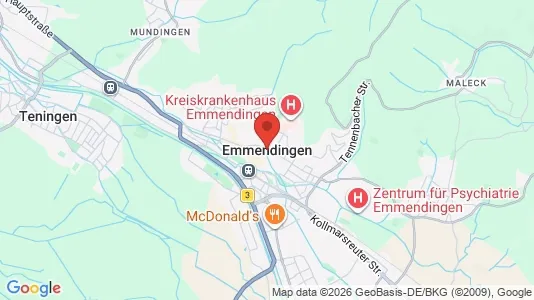 Liikekiinteistöt Vuokrattavana i Emmendingen - Kuva Google Street Viewstä