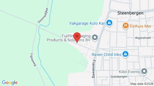 Propiedades comerciales En venta i Steenbergen - Foto de Google Street View