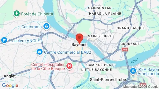 Lokaler til leje i Bayonne - kort over placeringen