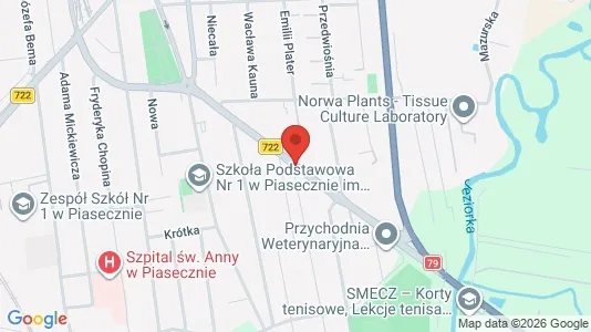 Nieruchomości komercyjne Do wynajęcia i Piaseczyński - kort over placeringen