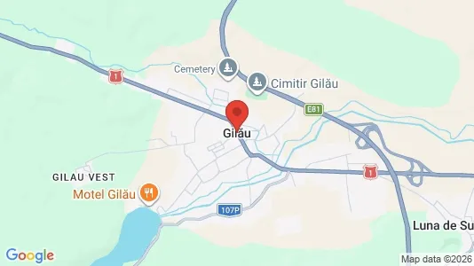 Commercial properties for rent i Gilău - kort over placeringen