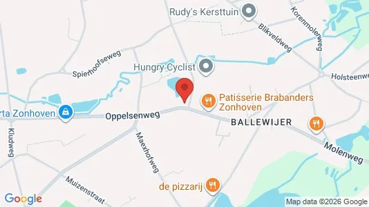 Propiedades comerciales En venta i Zonhoven - kort over placeringen