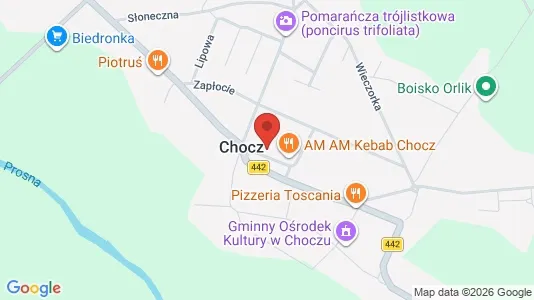 Büros zur Miete i Pleszewski – Foto von Google Street View