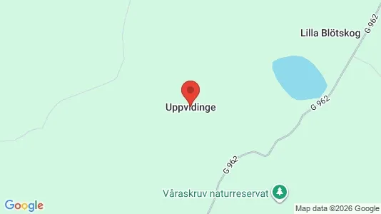 Restaurantlokaler til leje i Uppvidinge - Foto fra Google Street View