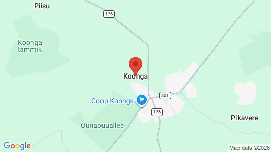 Lokaler til salg i Koonga - kort over placeringen