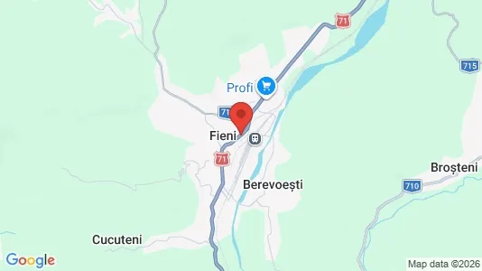 Lokaler til leje i Fieni - kort over placeringen