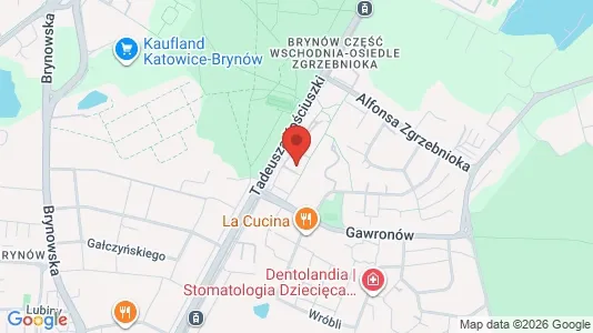 Espacios de oficina En alquiler i Katowice - kort over placeringen