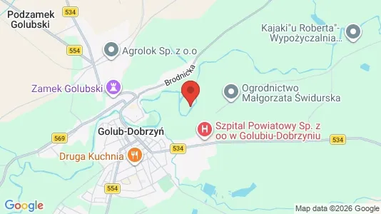 Office spaces for rent i Golubsko-Dobrzyński - kort over placeringen