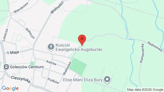 Espacios de oficina En alquiler i Cieszyński - kort over placeringen