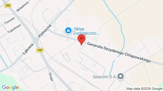 Kontorlokaler til leje i Kościański - kort over placeringen