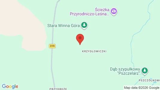 Espacios de oficina En venta i Wschowski - kort over placeringen