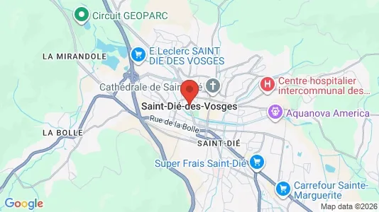Butikslejemål til leje i Saint-Dié-des-Vosges - kort over placeringen