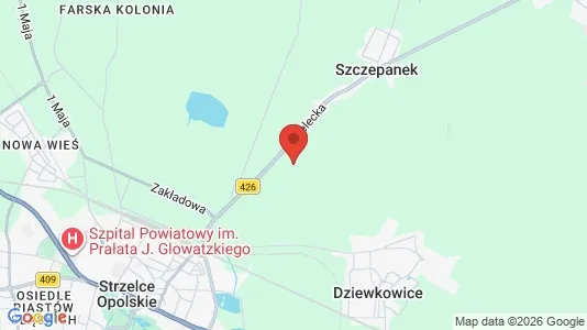 Ladenlokale zur Miete i Strzelecki - kort over placeringen