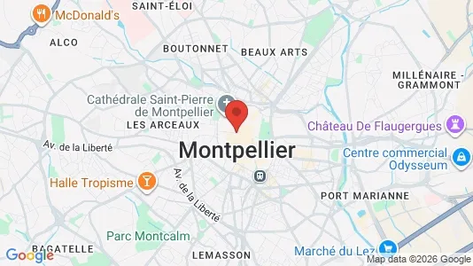 Nieruchomości komercyjne Do wynajęcia i Montpellier - kort over placeringen