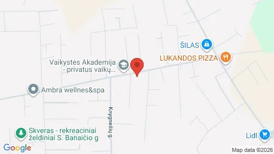 Kontorer til leie i Kaunas - kort over placeringen