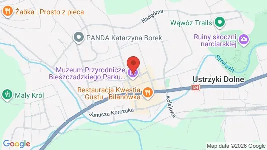 Office spaces for rent i Bieszczadzki - kort over placeringen