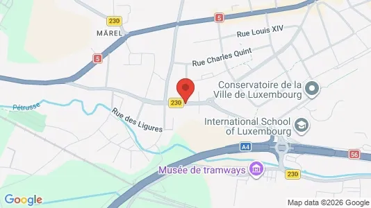 Gewerbeflächen zum Kauf i Luxemburg - kort over placeringen