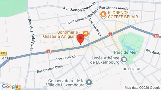 Commercial properties for rent i Luxembourg - kort over placeringen