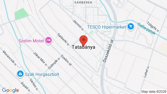 Werkstätte zur Miete i Tatabányai – Foto von Google Street View
