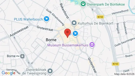 Nieruchomości komercyjne Na sprzedaż i Borne - kort over placeringen