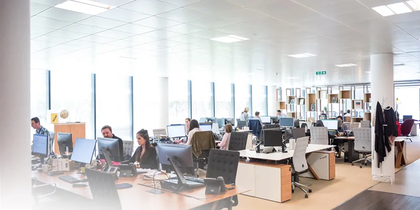 Shared Office